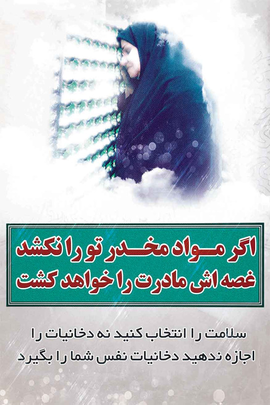 قهوه موکا با قارچ گانودرما 20 عددی